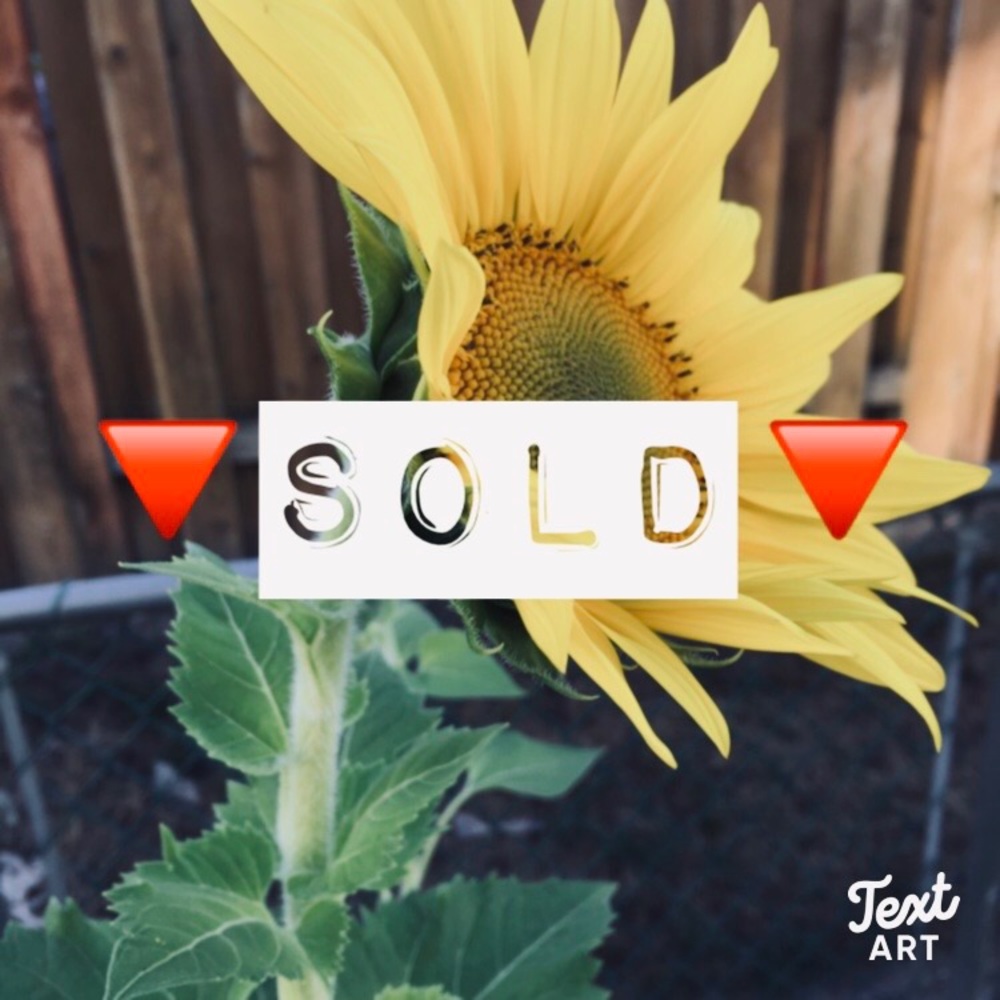 ⬇️Everything beyond is SOLD ⬇️